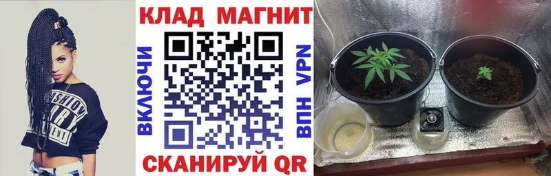 Купить наркотики сайты Темрюк Амфетамин  Канабис  Меф  ГАШ  Cocaine 