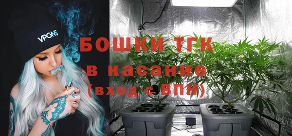 экстази Пересвет