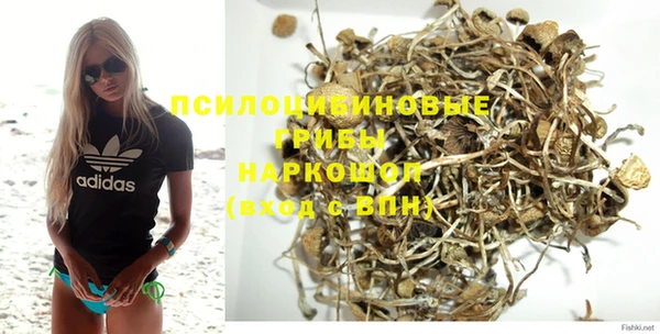 экстази Пересвет