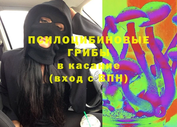 экстази Пересвет