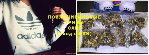 гидропоника Переславль-Залесский