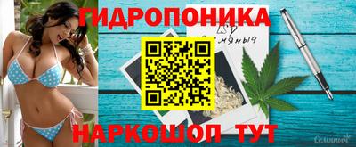 мескалин Можга