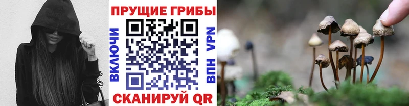 хочу   Темрюк  Псилоцибиновые грибы MAGIC MUSHROOMS 