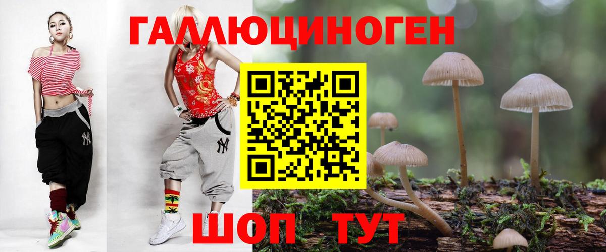 Псилоцибиновые грибы Psilocybine cubensis  где купить   Темрюк  Вход с VPN 